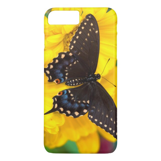 Coques Case-Mate iPhone Black Swallowtail (Dos)