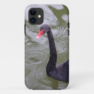 Coque Case-Mate Pour iPhone Black Swan iPhone 5/5S, à peine là