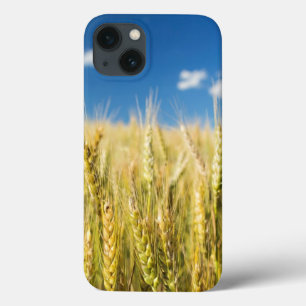 Coques Pour iPhone Blé du Kansas