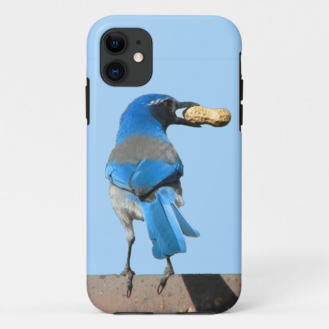 Coques Case-Mate iPhone Bleu mou Oiseau de Jay (Dos)