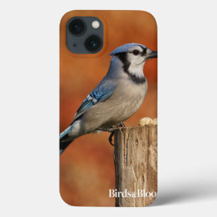 iPhone 13 Case Blue Jay