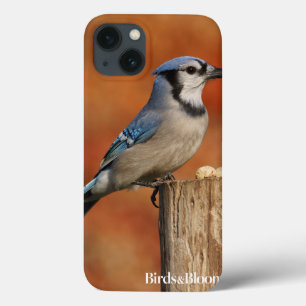 Etui iPhone 13 Blue Jay