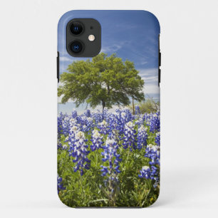 Etui iPhone Case-Mate Bluebonnets du Texas (lupinus texensis) et chêne