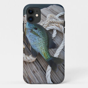 Etui iPhone Case-Mate bluegill sur quai