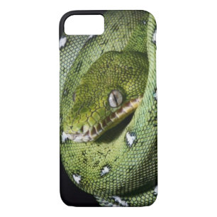 Coque iPhone 8/7 Boa vert de serpent vert d'arbre en Bolivie