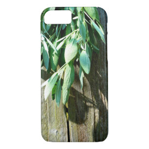 Etui iPhone Case-Mate Bois de Grange frais coupé