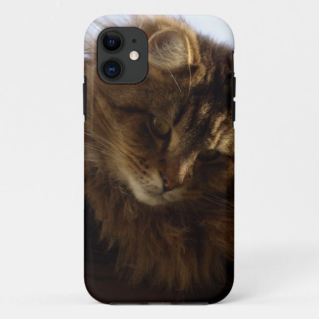 Coques Case-Mate iPhone Boîte téléphonique pour animaux de compagnie Maine (Dos)