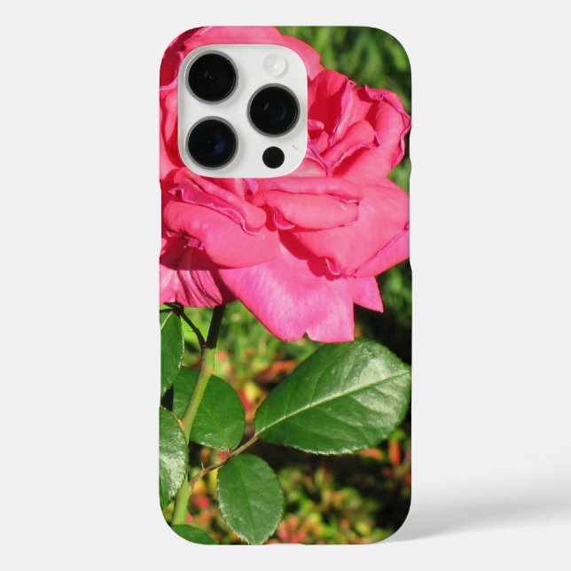 Coques Case-Mate iPhone Boîtes de téléphone rose (Verso)