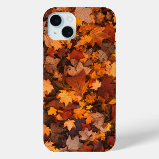 Coque iPhone 15 Mini Boîtier de téléphone Automne Leaves Couverture pou