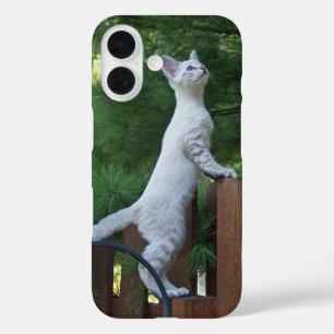 Coque Pour iPhone 16 Boîtier de téléphone de chat Savannah