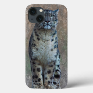 Etui iPhone 13 Boîtier iPad Leopard Lookout