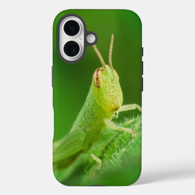 Coques Case-Mate iPhone Boîtier pour iPhone / iPad (Verso)