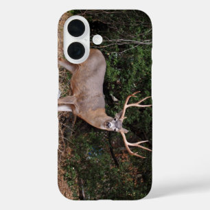Coque Pour iPhone 16 Boîtier téléphonique