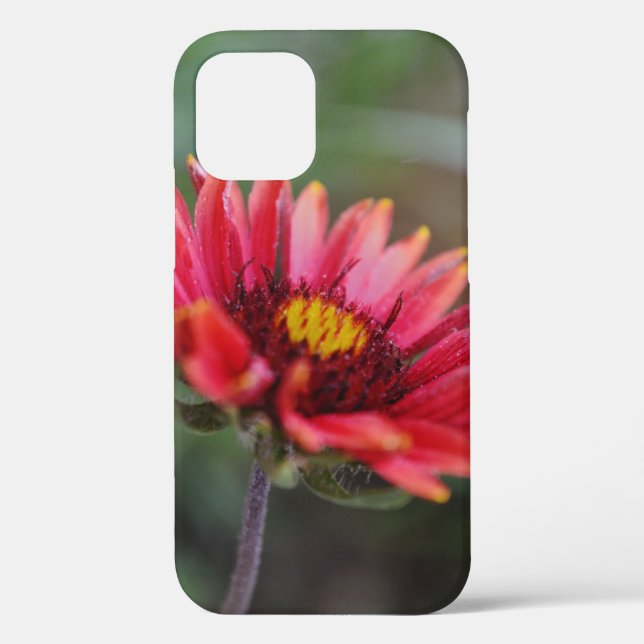 Coques Case-Mate iPhone Boîtier téléphonique d'art Fleur sauvage indien (Verso)