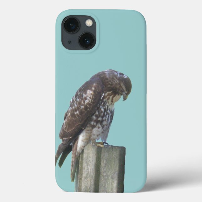 Coques Case-Mate iPhone Boîtier téléphonique - Falcon (Verso)