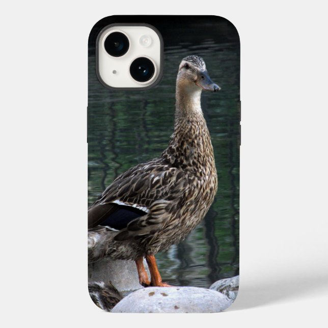 Coques Case-Mate iPhone Boîtier téléphonique Mallard Duck (Verso)