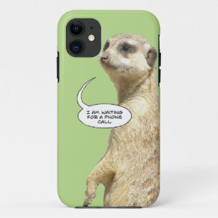 Coques Pour iPhone Boîtier téléphonique Meerkat