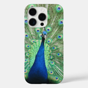 iPhone 16 Pro Case Boîtier téléphonique - Proud paonP