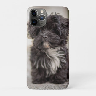 Case-Mate iPhone Case Bolonka Puppy