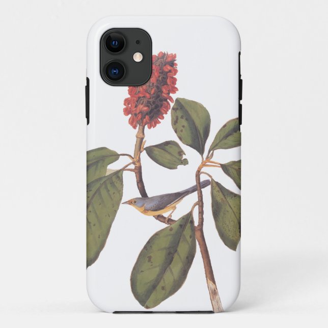 Coques Case-Mate iPhone Bonaparte Moucherolle Canada Paruline Audubon Oise (Dos)