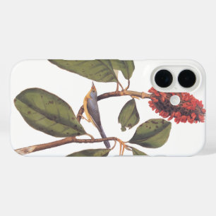 Coque Pour iPhone 16 Bonaparte Moucherolle Canada Paruline Audubon Oise