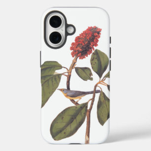 Coque Pour iPhone 16 Bonaparte Moucherolle Canada Paruline Audubon Oise