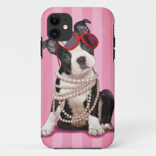 Coque iPhone 11 Boston Terrier