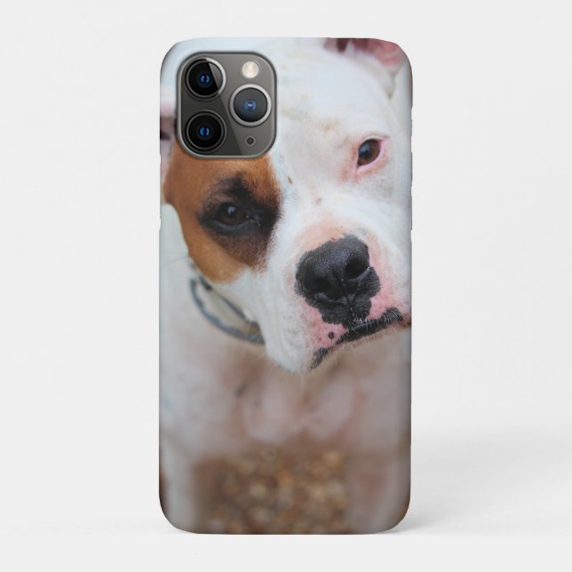Coques Case-Mate iPhone Boucle (Dos)