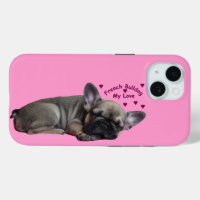 Bouledogue français