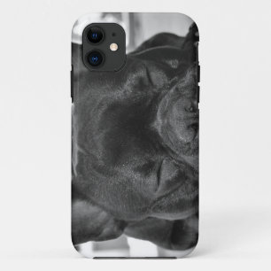 Coques Pour iPhone Bouledogue français