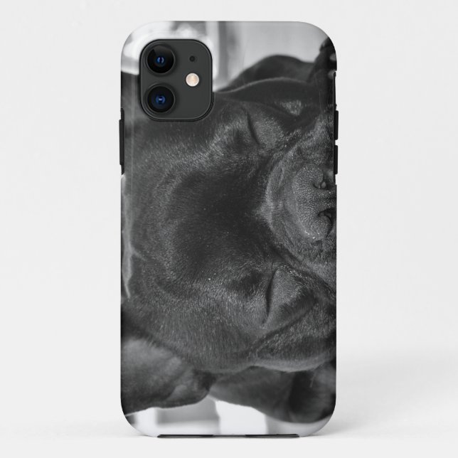 Coques Case-Mate iPhone Bouledogue français (Dos)