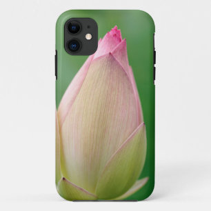 Coque iPhone 11 Bourgeon de nénuphar non ouvert, Jardin botanique