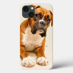 iPhone 13 Coque Boxer puppy on ivory cream backdrop.