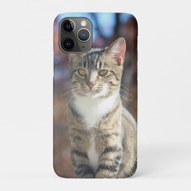 Coques Case-Mate iPhone Brin (Dos)