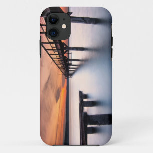 Coque iPhone 11 Broches de jumeau