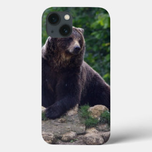 Case-Mate iPhone Case Brown bear