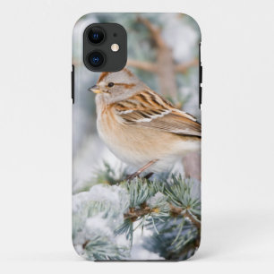 Case-Mate iPhone Case Bruant hudsonien en hiver
