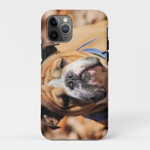 Case-Mate iPhone Case Buddy Bulldog