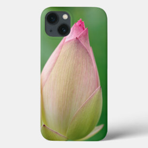 Etui iPhone 13 Bulbe de nénuphar non ouvert, Jardin botanique de