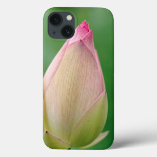 iPhone 13 Coque Bulbe de nénuphar non ouvert, Jardin botanique de