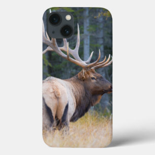 iPhone 13 Coque Bull