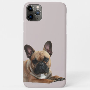 Case-Mate iPhone Case Bulldogge français iPhone 11 Pro Max Enveloppe