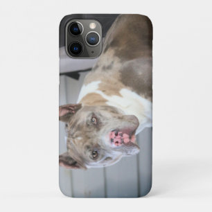 Case-Mate iPhone Case Bulle de Pitt