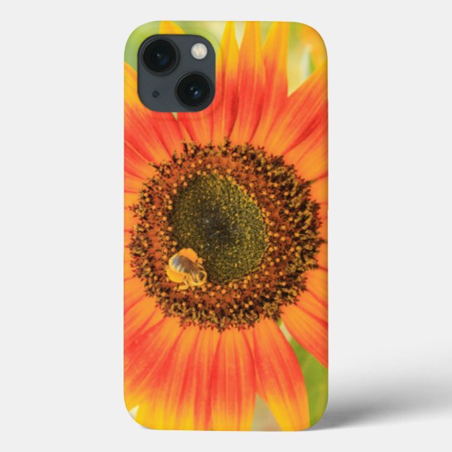Coques Case-Mate iPhone Bumblebebe au tournesol, jardin communautaire (Verso)