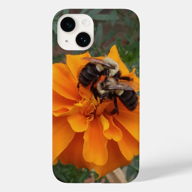 Coques Case-Mate iPhone Bumblebebees sur Marigold Flower (Verso)