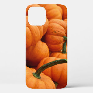 Case-Mate iPhone CASE BUNCH DU CITROUILLE