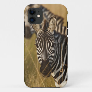 Etui iPhone Case-Mate Burchell's Zebra dans la haute herbe d'été, Masai