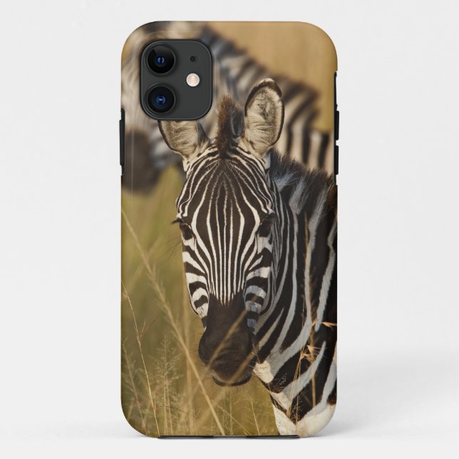 Coques Case-Mate iPhone Burchell's Zebra dans la haute herbe d'été, Masai (Dos)