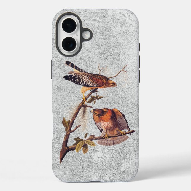 Coques Case-Mate iPhone Buse à épaulettes roux Audubon Oiseau de proie (Verso)