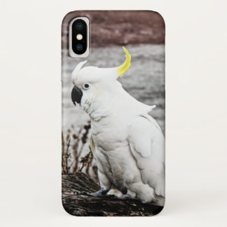 Coques Pour iPhone Cacatoès Soufre-Crêté